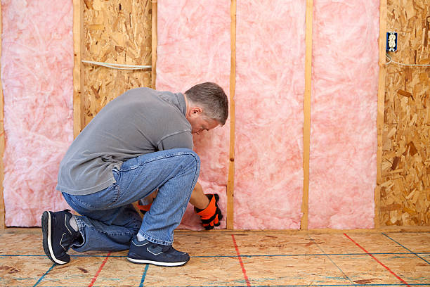 Best Spray Foam Insulation in Shelbina, MO