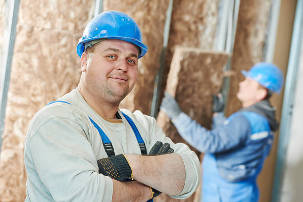 Best DIY Insulation Kits and Guidance in Shelbina, MO