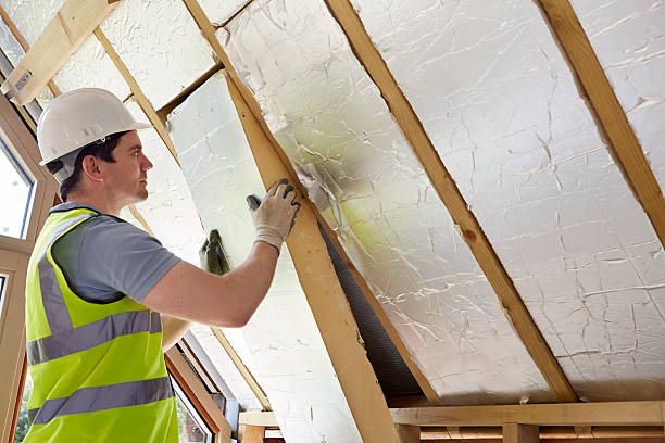 Best Spray Foam Insulation in Shelbina, MO